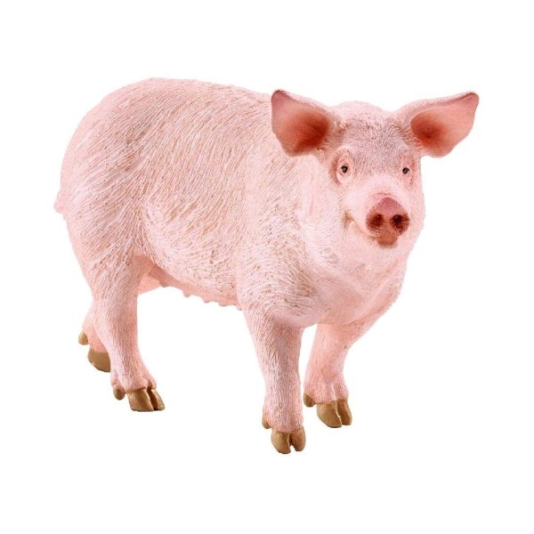 Schleich 13782 - Farm World - Schwein